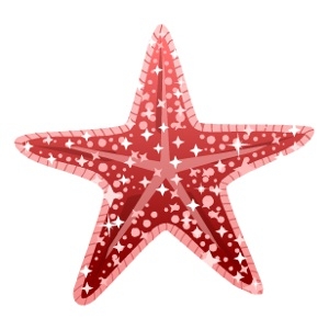 Ruby Glitter Starfish